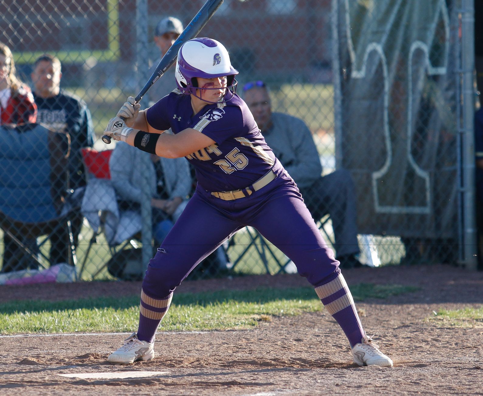 Troy v. Holt Softball
